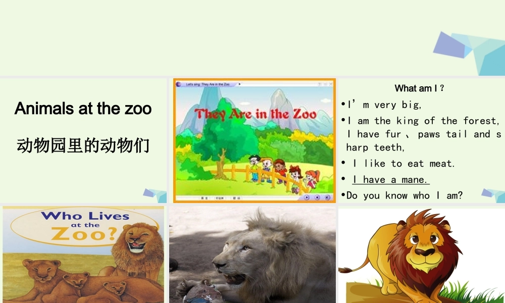 四年级英语上册 Lesson 12 Lions and Tigers课件 冀教版（一起）-冀教版小学四年级上册英语课件