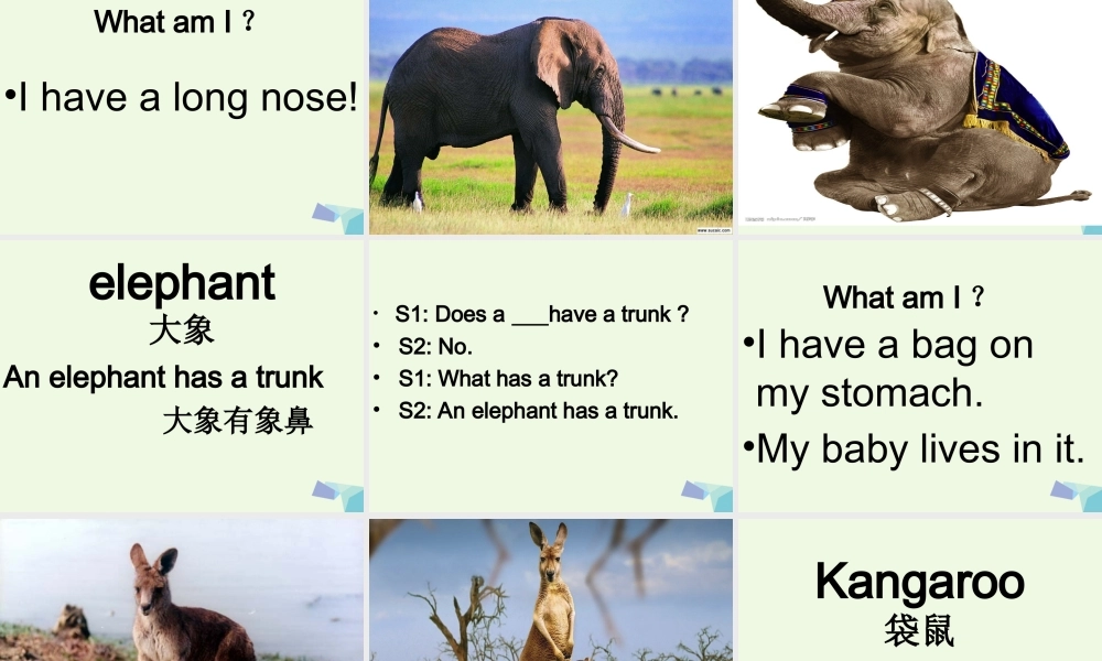 四年级英语上册 Lesson 12 Lions and Tigers课件 冀教版（一起）-冀教版小学四年级上册英语课件