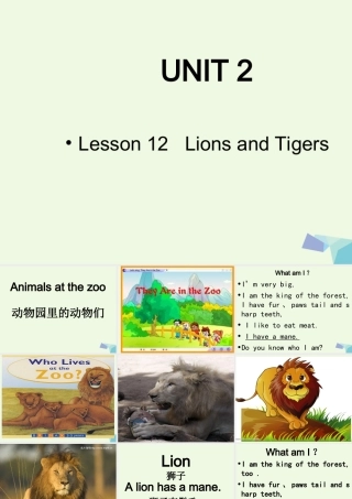 四年级英语上册 Lesson 12 Lions and Tigers课件 冀教版（一起）-冀教版小学四年级上册英语课件