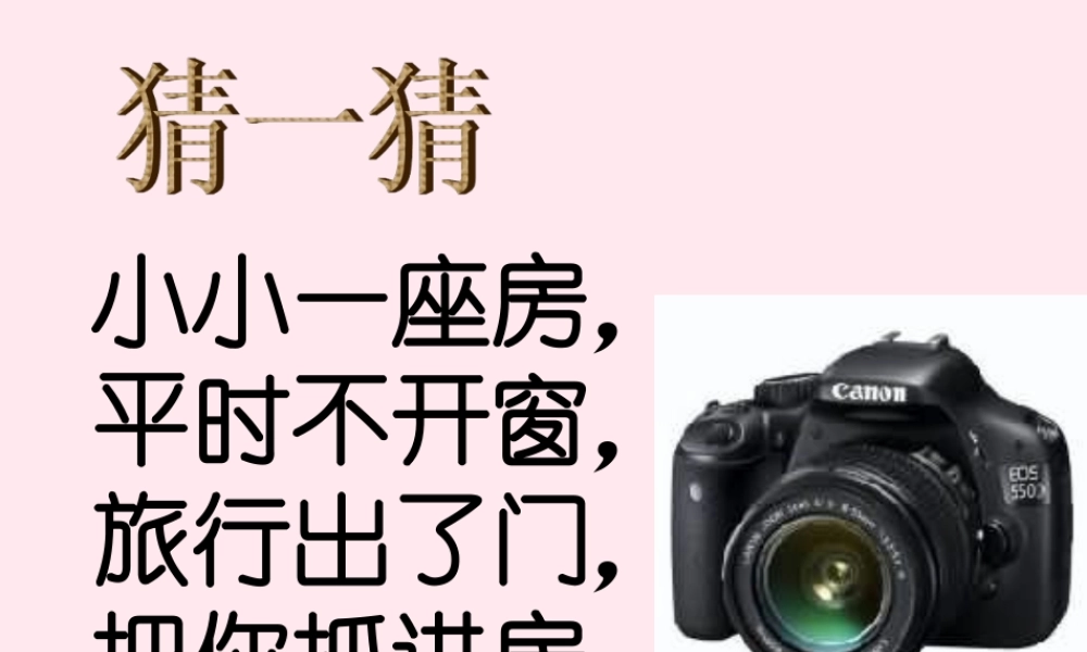 四年级科学下册 第三单元 光与我们的生活 第13课《照相机和眼睛》课件1 青岛版五四制-青岛版小学四年级下册自然科学课件