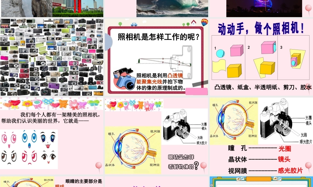 四年级科学下册 第三单元 光与我们的生活 第13课《照相机和眼睛》课件1 青岛版五四制-青岛版小学四年级下册自然科学课件
