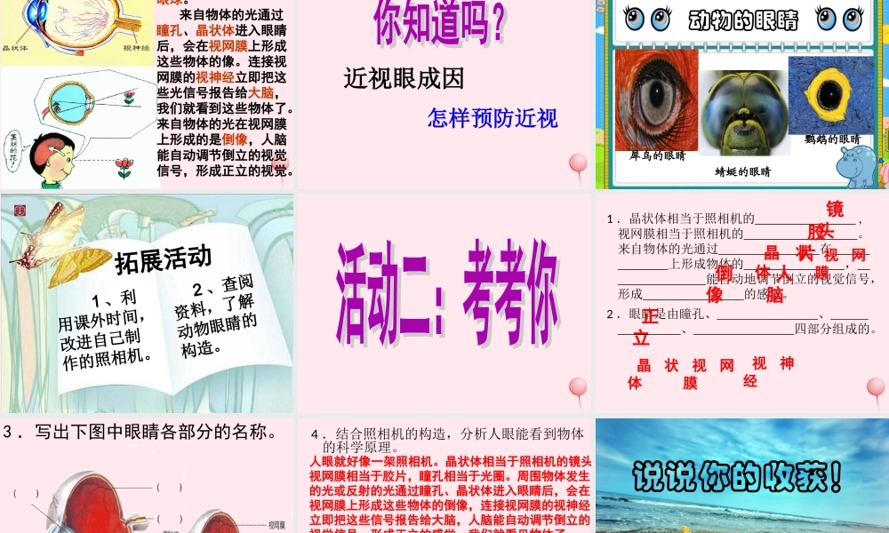 四年级科学下册 第三单元 光与我们的生活 第13课《照相机和眼睛》课件1 青岛版五四制-青岛版小学四年级下册自然科学课件