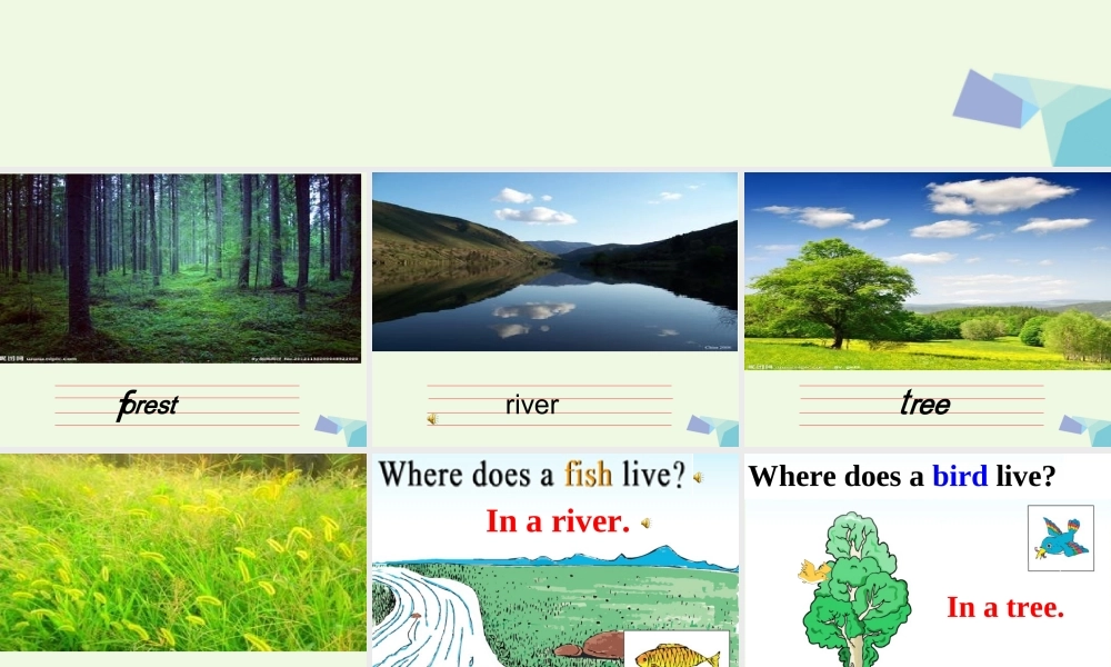 四年级英语上册 Lesson 13 Where Do They Live课件 冀教版（一起）-冀教版小学四年级上册英语课件