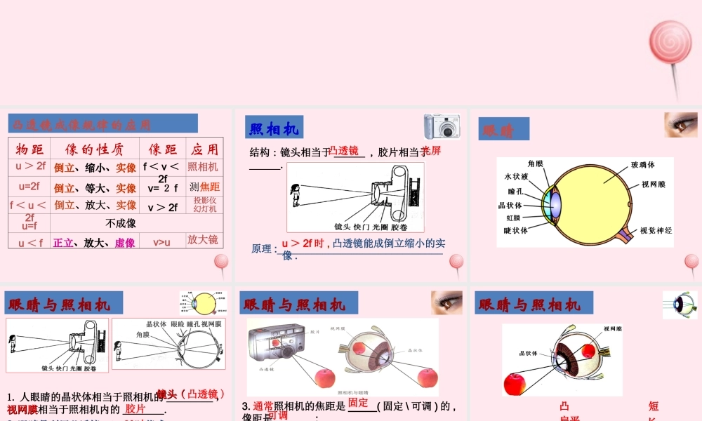 四年级科学下册 第三单元 光与我们的生活 第13课《照相机和眼睛》课件2 青岛版五四制-青岛版小学四年级下册自然科学课件
