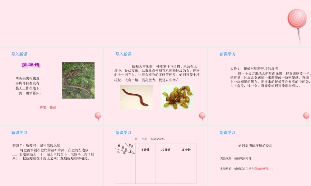四年级科学下册 第三单元 光与我们的生活 第14课《蚯蚓找家》课件 青岛版五四制-青岛版小学四年级下册自然科学课件