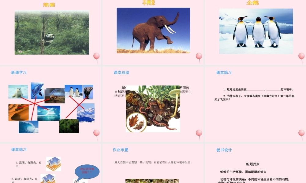 四年级科学下册 第三单元 光与我们的生活 第14课《蚯蚓找家》课件 青岛版五四制-青岛版小学四年级下册自然科学课件