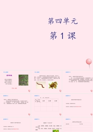 四年级科学下册 第三单元 光与我们的生活 第14课《蚯蚓找家》课件 青岛版五四制-青岛版小学四年级下册自然科学课件