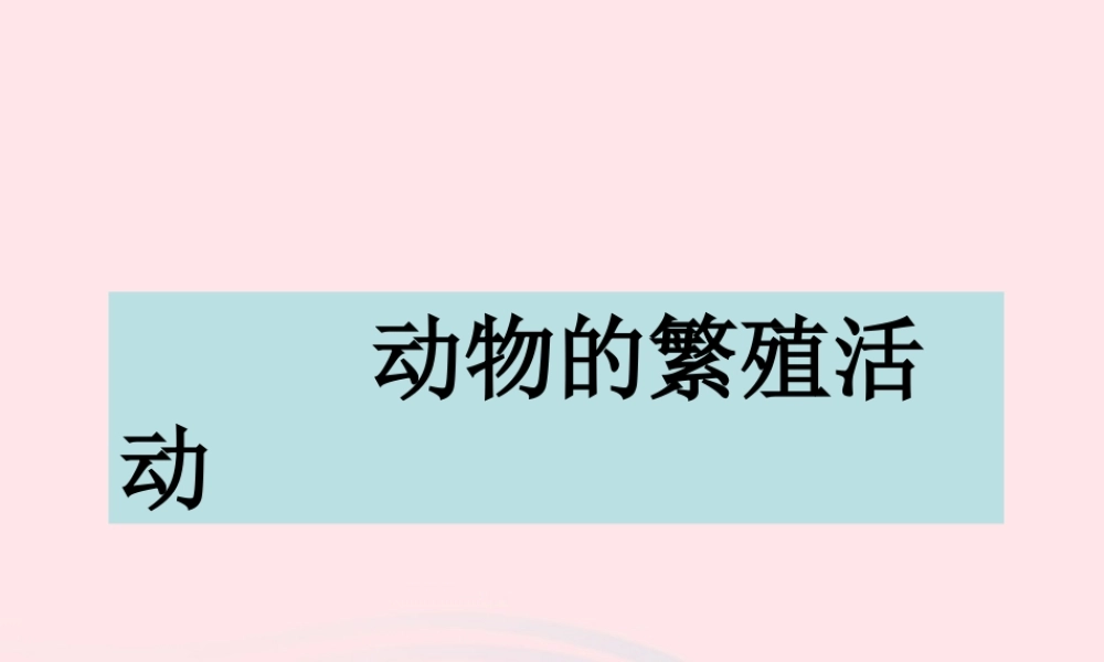 四年级科学下册 2 新的生命 7 动物的繁殖活动课件4 教科版-教科版小学四年级下册自然科学课件