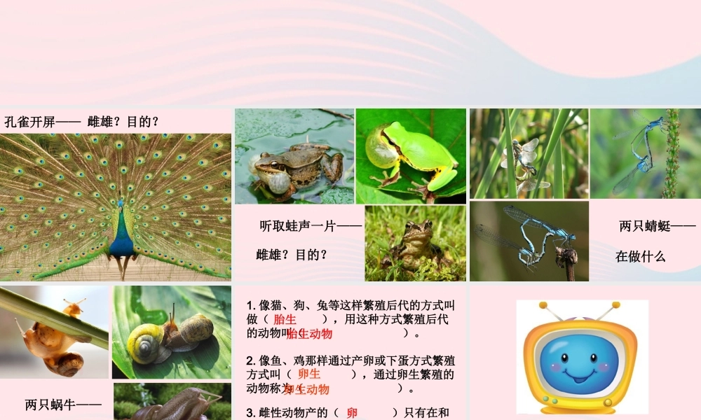 四年级科学下册 2 新的生命 7 动物的繁殖活动课件4 教科版-教科版小学四年级下册自然科学课件