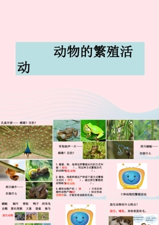 四年级科学下册 2 新的生命 7 动物的繁殖活动课件4 教科版-教科版小学四年级下册自然科学课件