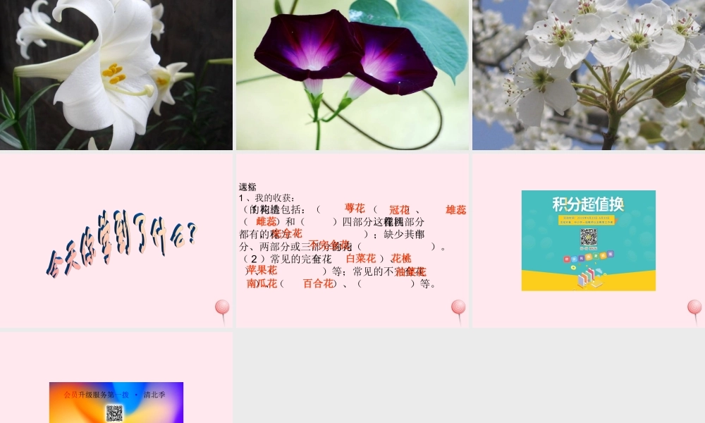 四年级科学下册 2.1《花开花落为哪》课件1 湘教版-湘教版小学四年级下册自然科学课件