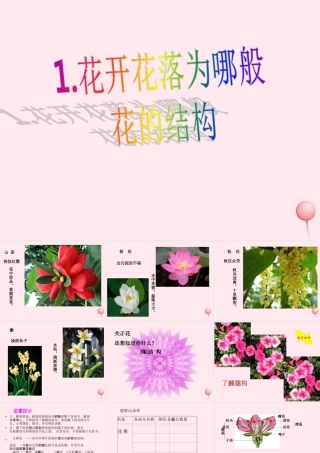 四年级科学下册 2.1《花开花落为哪》课件1 湘教版-湘教版小学四年级下册自然科学课件