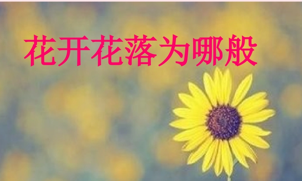 四年级科学下册 2.1《花开花落为哪》课件2 湘教版-湘教版小学四年级下册自然科学课件