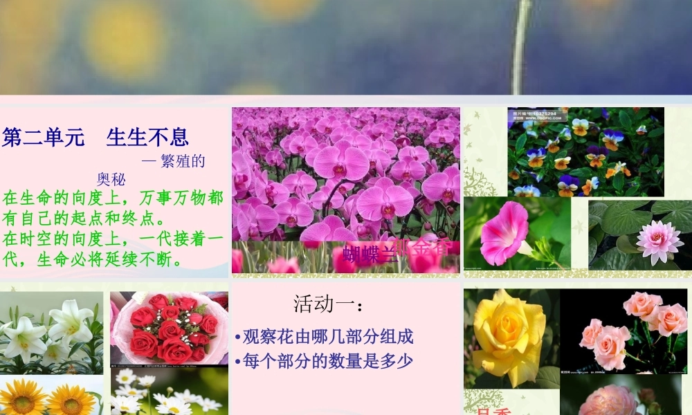 四年级科学下册 2.1《花开花落为哪》课件2 湘教版-湘教版小学四年级下册自然科学课件