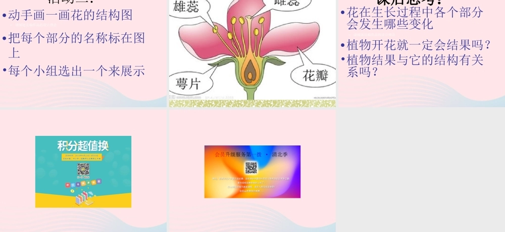 四年级科学下册 2.1《花开花落为哪》课件2 湘教版-湘教版小学四年级下册自然科学课件