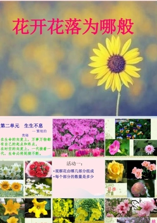 四年级科学下册 2.1《花开花落为哪》课件2 湘教版-湘教版小学四年级下册自然科学课件