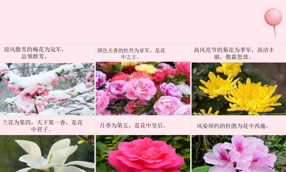 四年级科学下册 2.1《花开花落为哪》课件3 湘教版-湘教版小学四年级下册自然科学课件