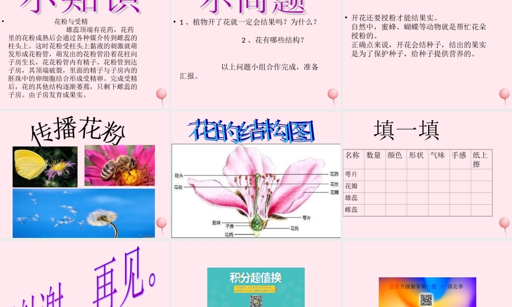 四年级科学下册 2.1《花开花落为哪》课件3 湘教版-湘教版小学四年级下册自然科学课件