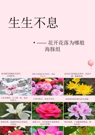 四年级科学下册 2.1《花开花落为哪》课件3 湘教版-湘教版小学四年级下册自然科学课件