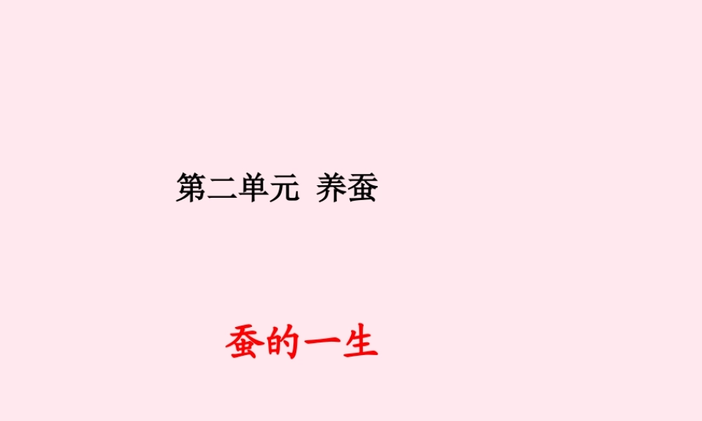 四年级科学下册 2.2给蚕宝宝记日记课件1 苏教版-苏教版小学四年级下册自然科学课件