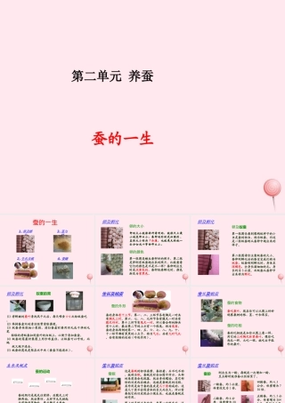 四年级科学下册 2.2给蚕宝宝记日记课件1 苏教版-苏教版小学四年级下册自然科学课件