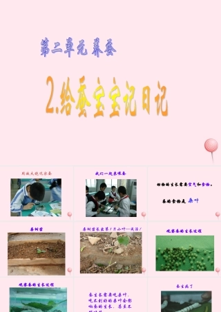 四年级科学下册 2.2给蚕宝宝记日记课件2 苏教版-苏教版小学四年级下册自然科学课件