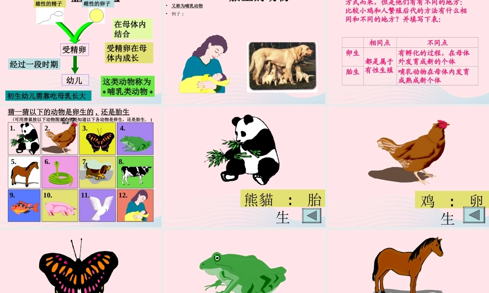 四年级科学下册 2.3《翩翩雌和雄》课件1 湘教版-湘教版小学四年级下册自然科学课件