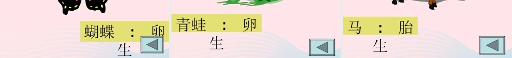 四年级科学下册 2.3《翩翩雌和雄》课件1 湘教版-湘教版小学四年级下册自然科学课件