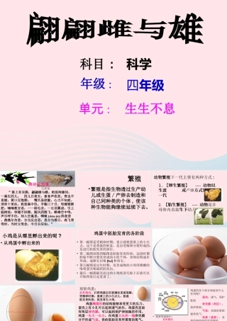 四年级科学下册 2.3《翩翩雌和雄》课件1 湘教版-湘教版小学四年级下册自然科学课件