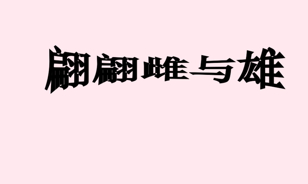 四年级科学下册 2.3《翩翩雌和雄》课件2 湘教版-湘教版小学四年级下册自然科学课件