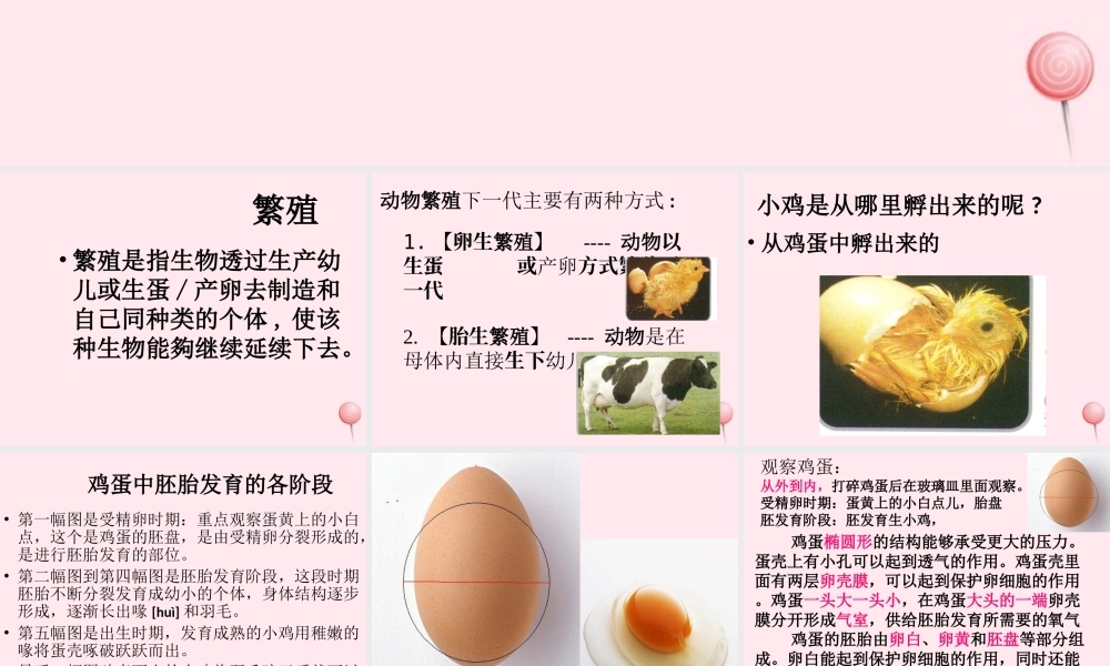 四年级科学下册 2.3《翩翩雌和雄》课件2 湘教版-湘教版小学四年级下册自然科学课件