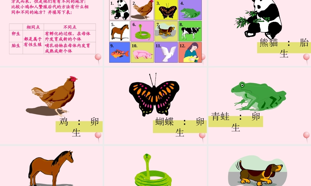 四年级科学下册 2.3《翩翩雌和雄》课件2 湘教版-湘教版小学四年级下册自然科学课件