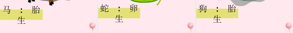 四年级科学下册 2.3《翩翩雌和雄》课件2 湘教版-湘教版小学四年级下册自然科学课件