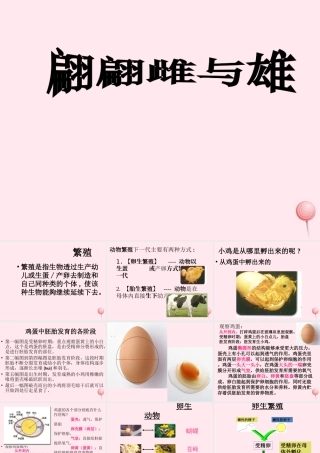 四年级科学下册 2.3《翩翩雌和雄》课件2 湘教版-湘教版小学四年级下册自然科学课件