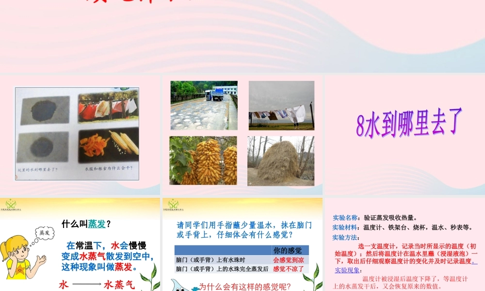 四年级科学下册 第三单元 物质的状态 第8课《水到哪里去了》课件2 冀教版-冀教版小学四年级下册自然科学课件