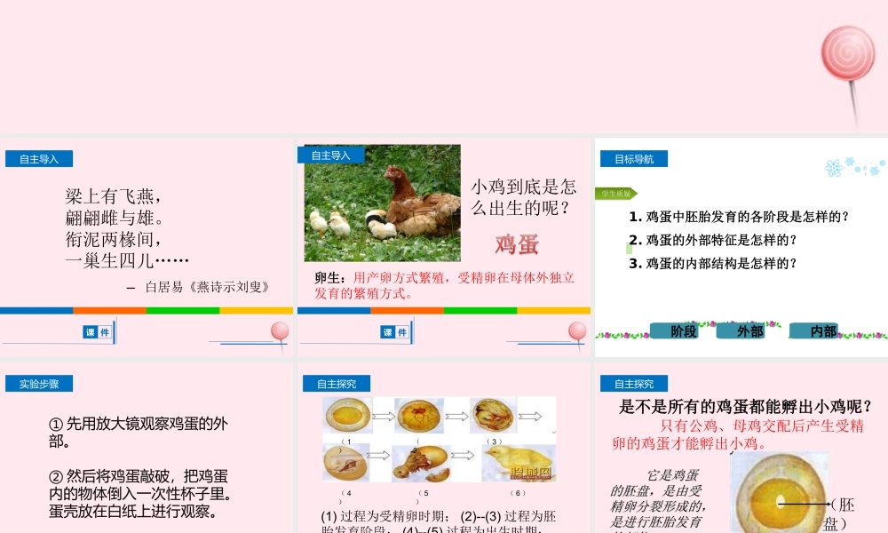 四年级科学下册 2.3《翩翩雌和雄》课件3 湘教版-湘教版小学四年级下册自然科学课件