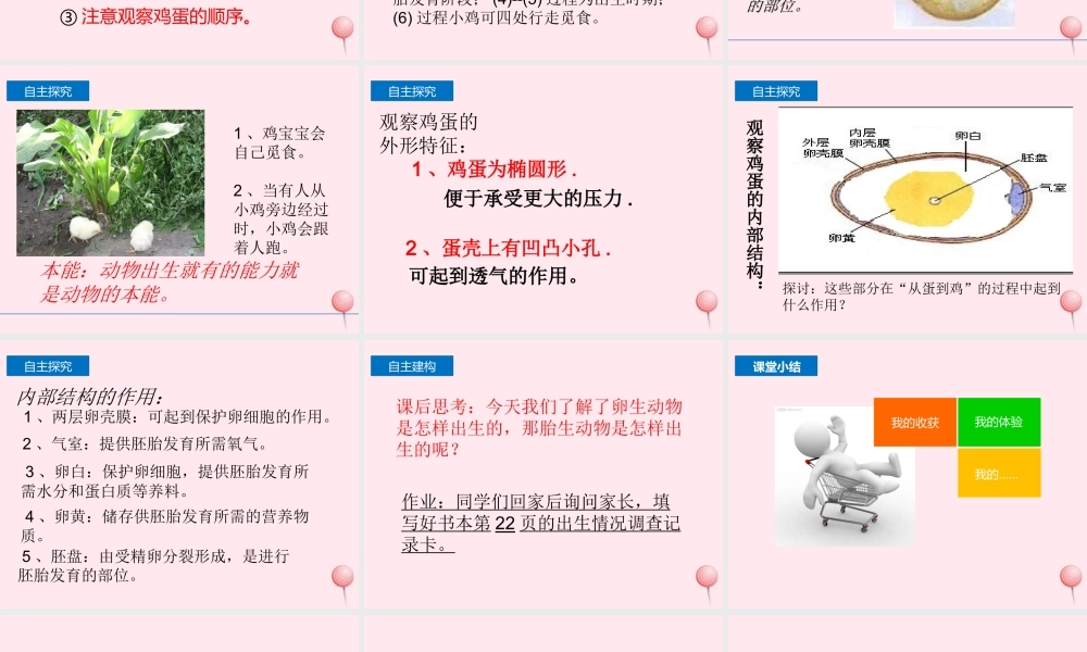 四年级科学下册 2.3《翩翩雌和雄》课件3 湘教版-湘教版小学四年级下册自然科学课件