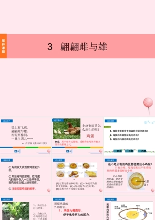 四年级科学下册 2.3《翩翩雌和雄》课件3 湘教版-湘教版小学四年级下册自然科学课件