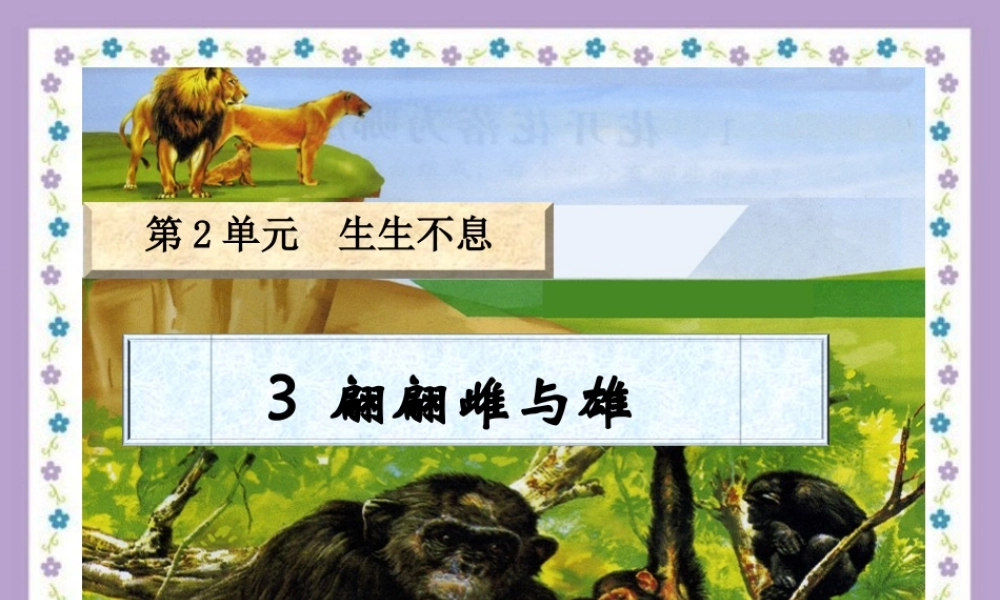 四年级科学下册 2.3《翩翩雌和雄》课件4 湘教版-湘教版小学四年级下册自然科学课件