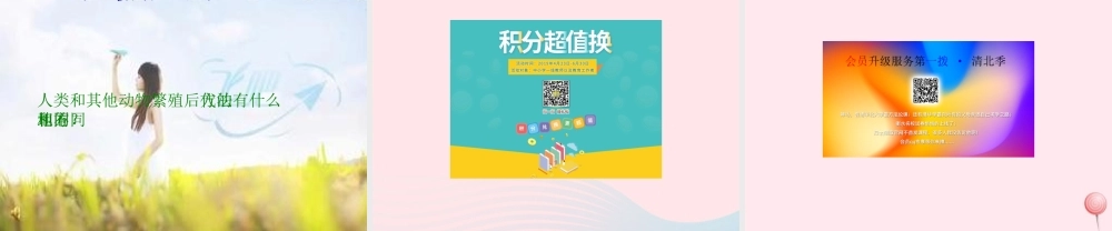 四年级科学下册 2.3《翩翩雌和雄》课件4 湘教版-湘教版小学四年级下册自然科学课件
