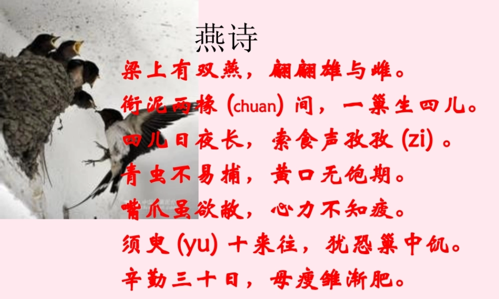 四年级科学下册 2.3《翩翩雌和雄》课件5 湘教版-湘教版小学四年级下册自然科学课件