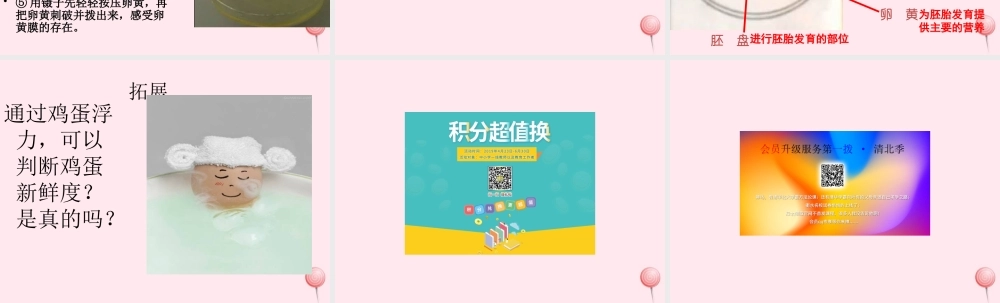 四年级科学下册 2.3《翩翩雌和雄》课件5 湘教版-湘教版小学四年级下册自然科学课件