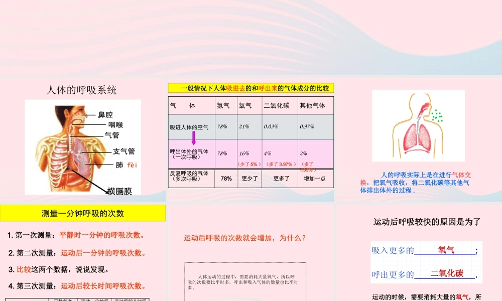 四年级科学上册 第19课《运动与呼吸》课件（1） 鄂教版-鄂教版小学四年级上册自然科学课件