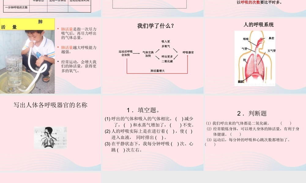四年级科学上册 第19课《运动与呼吸》课件（1） 鄂教版-鄂教版小学四年级上册自然科学课件