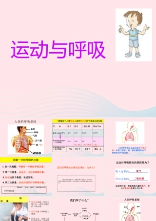 四年级科学上册 第19课《运动与呼吸》课件（1） 鄂教版-鄂教版小学四年级上册自然科学课件