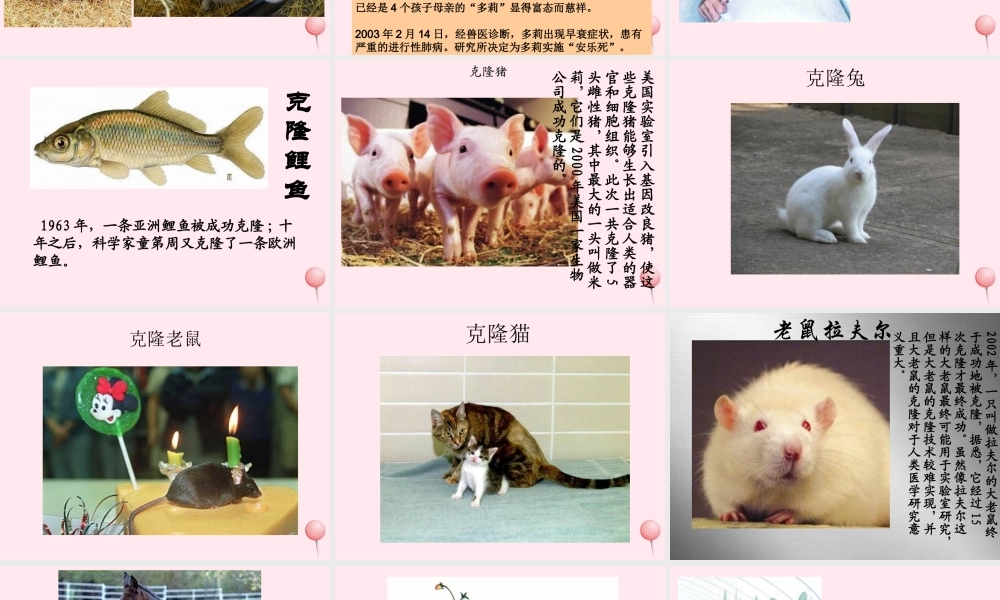 四年级科学下册 2.4《科学发展话克隆》课件1 湘教版-湘教版小学四年级下册自然科学课件