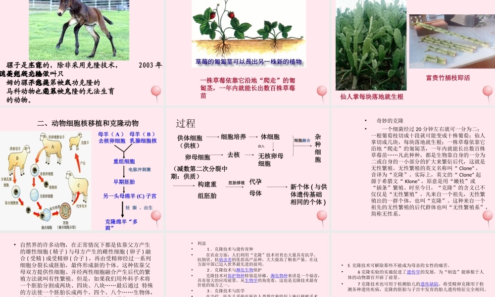 四年级科学下册 2.4《科学发展话克隆》课件1 湘教版-湘教版小学四年级下册自然科学课件