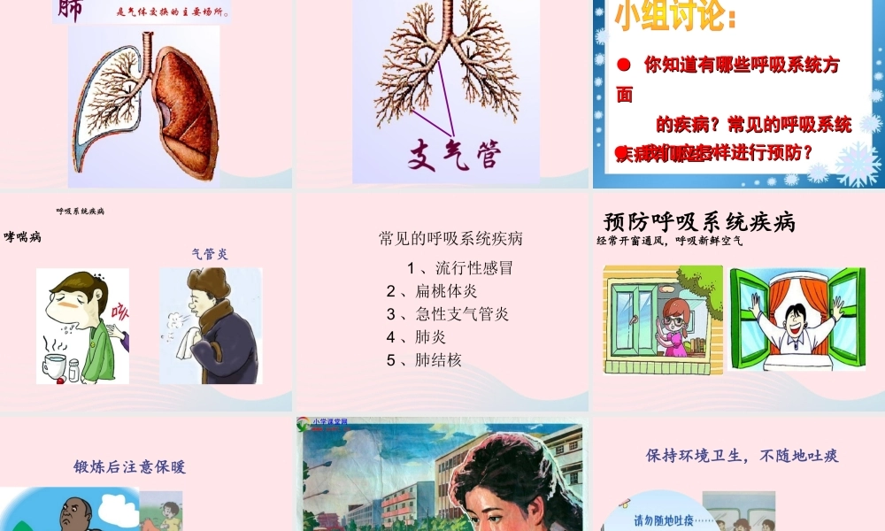 四年级科学上册 第19课《运动与呼吸》课件（2） 鄂教版-鄂教版小学四年级上册自然科学课件