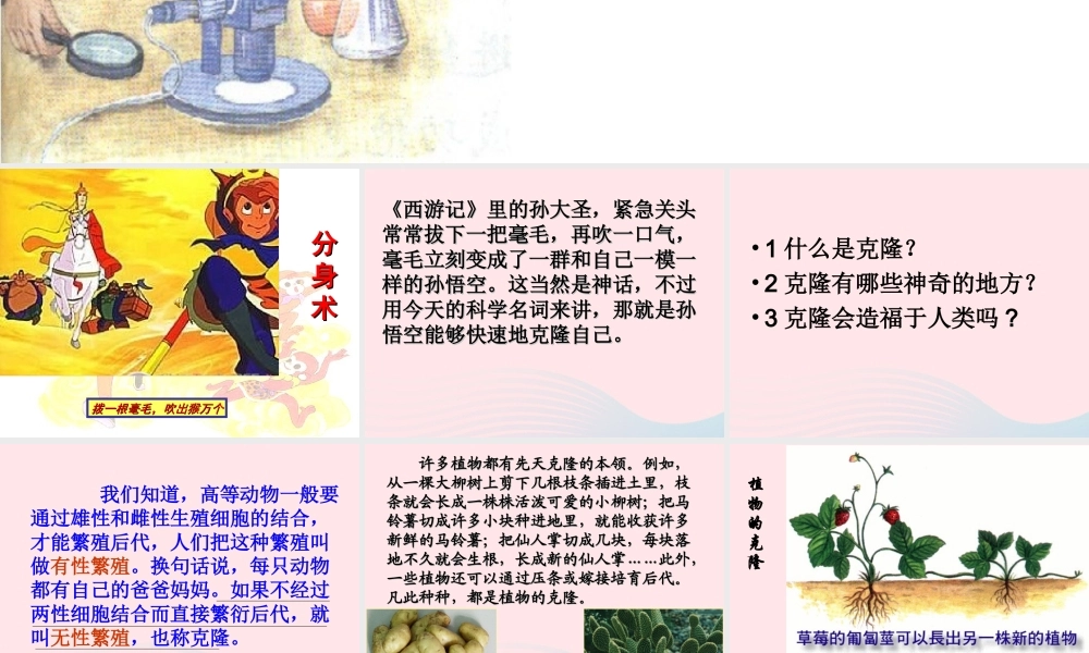 四年级科学下册 2.4《科学发展话克隆》课件2 湘教版-湘教版小学四年级下册自然科学课件