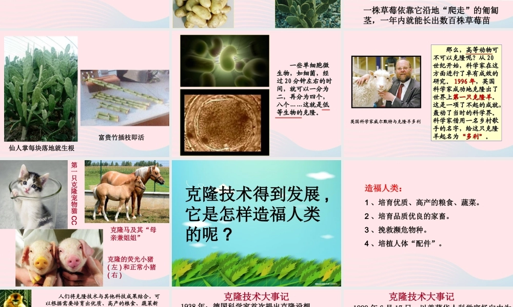 四年级科学下册 2.4《科学发展话克隆》课件2 湘教版-湘教版小学四年级下册自然科学课件